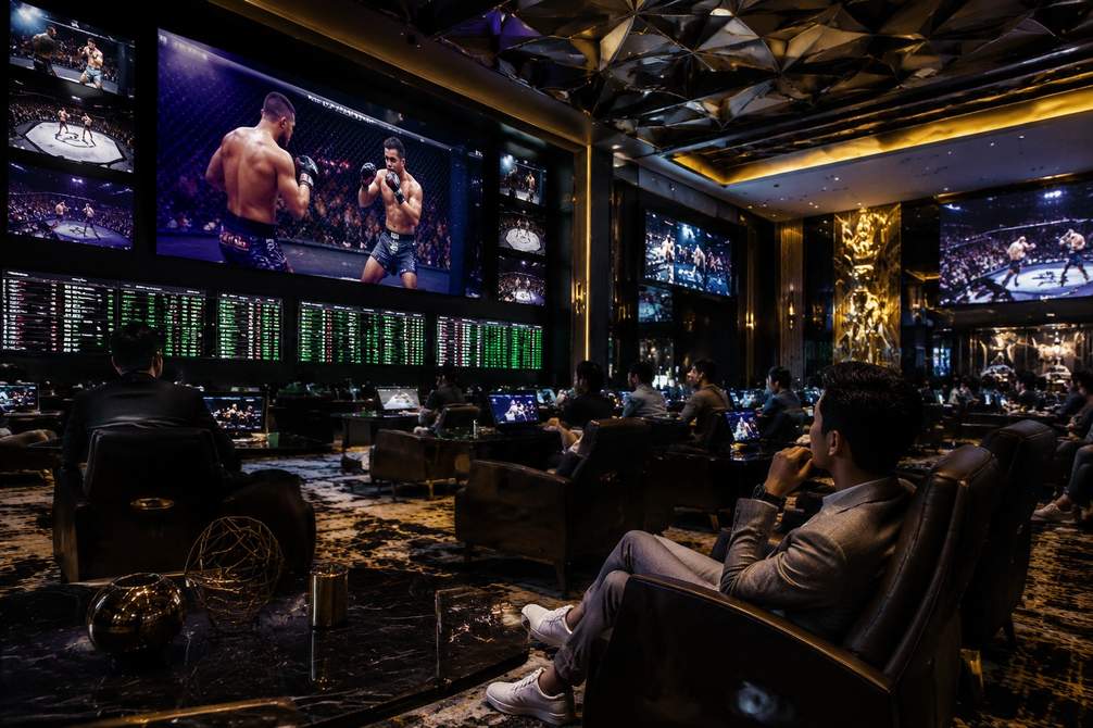 dailybet